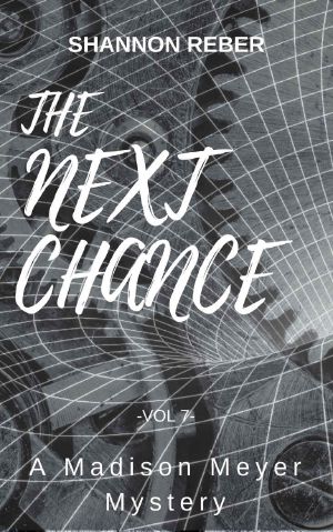 [Madison Meyer Mystery 07] • The Next Chance